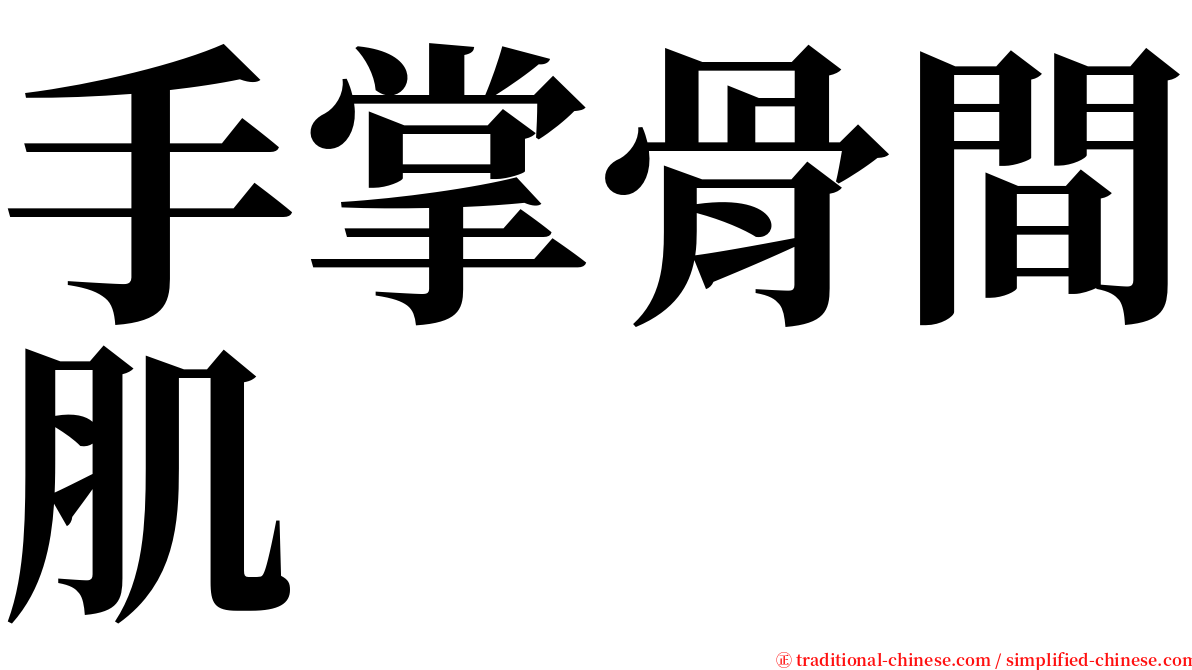 手掌骨間肌 serif font