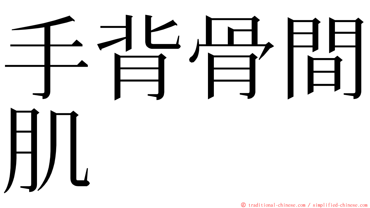 手背骨間肌 ming font