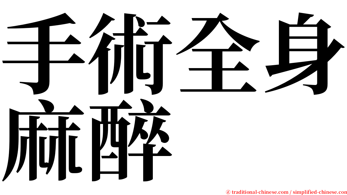 手術全身麻醉 serif font