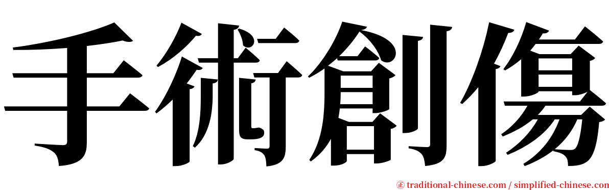 手術創傷 serif font