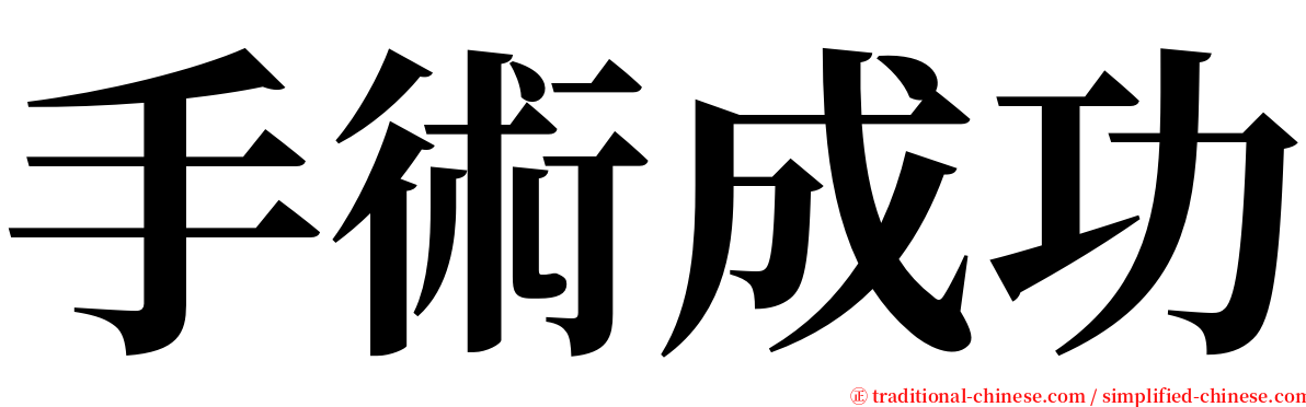 手術成功 serif font