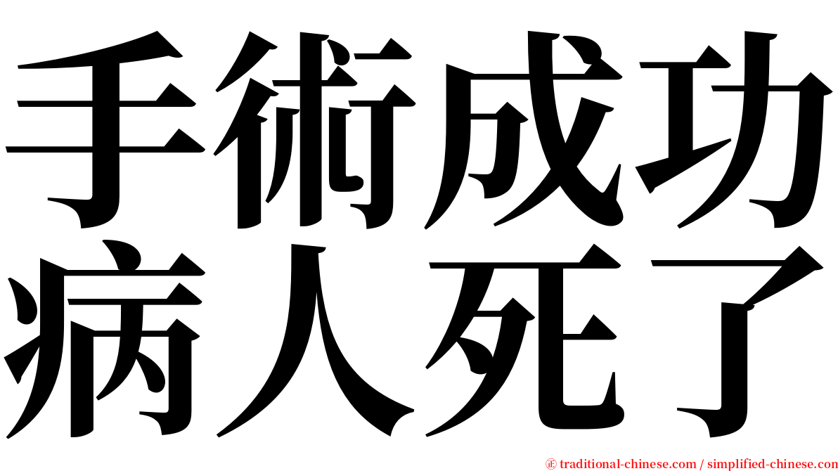 手術成功病人死了 serif font