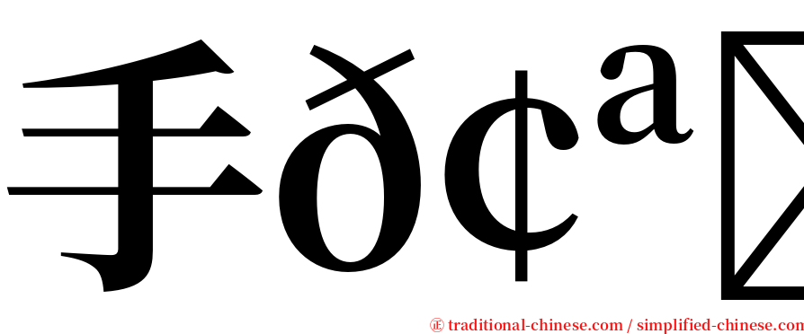 手𢪒掱 serif font