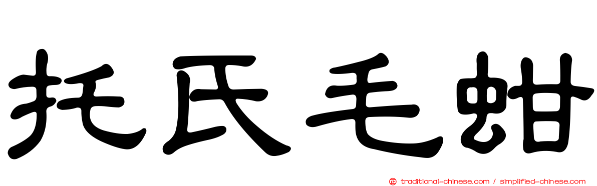 托氏毛蚶