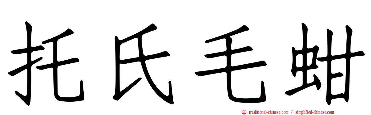 托氏毛蚶