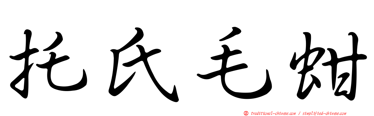 托氏毛蚶