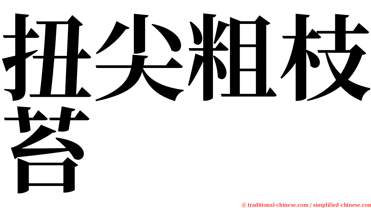 扭尖粗枝苔 serif font