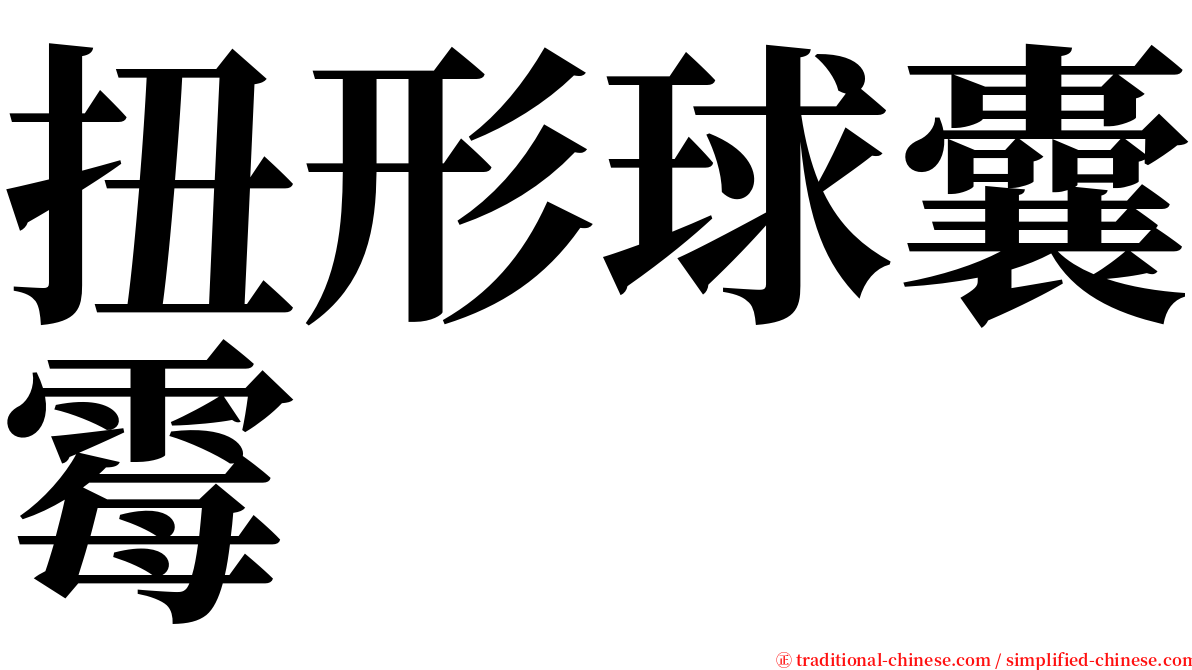 扭形球囊霉 serif font