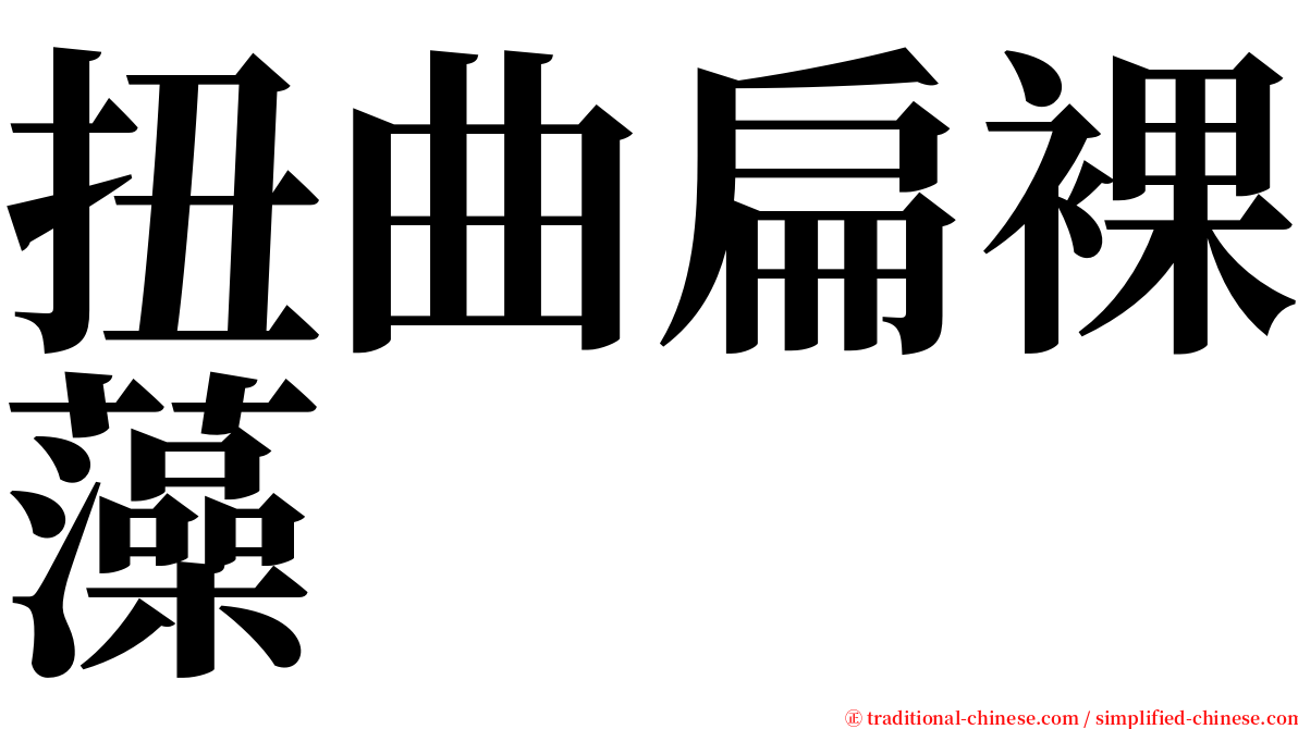 扭曲扁裸藻 serif font