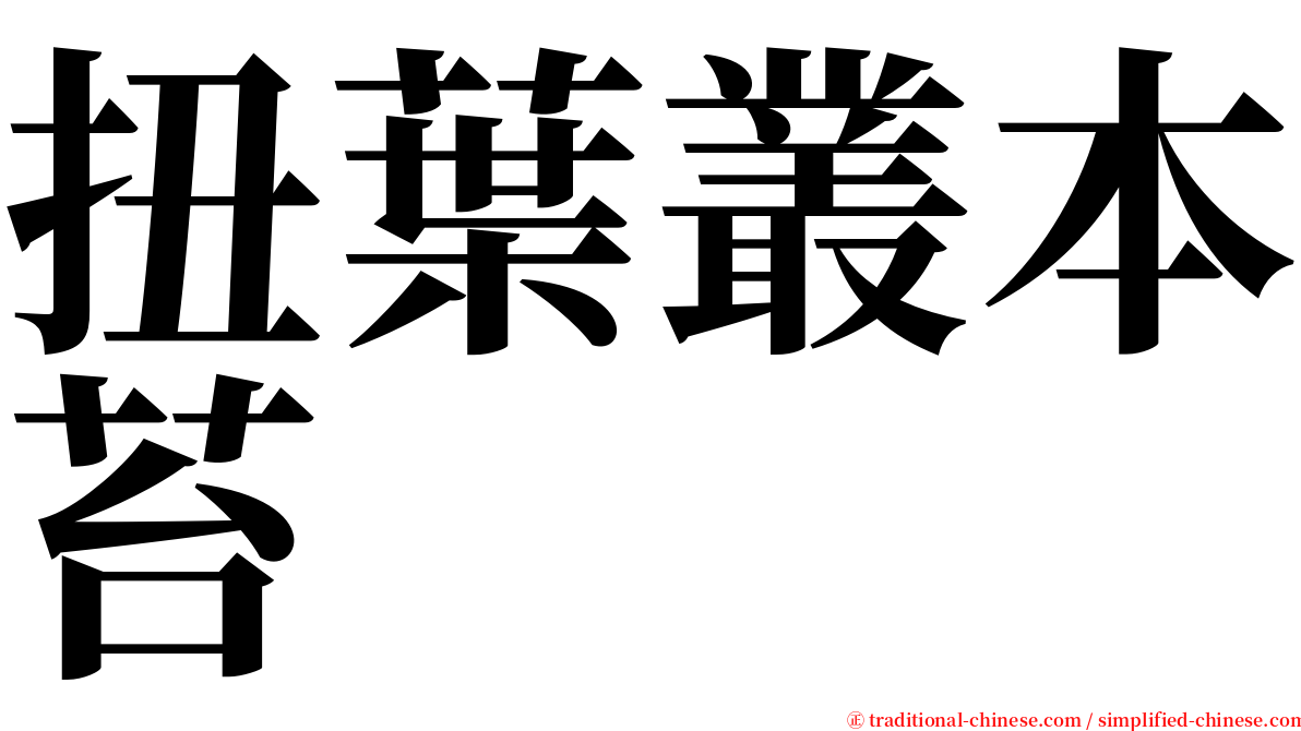 扭葉叢本苔 serif font