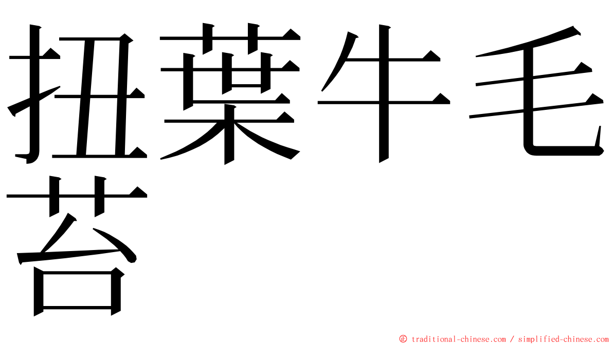 扭葉牛毛苔 ming font