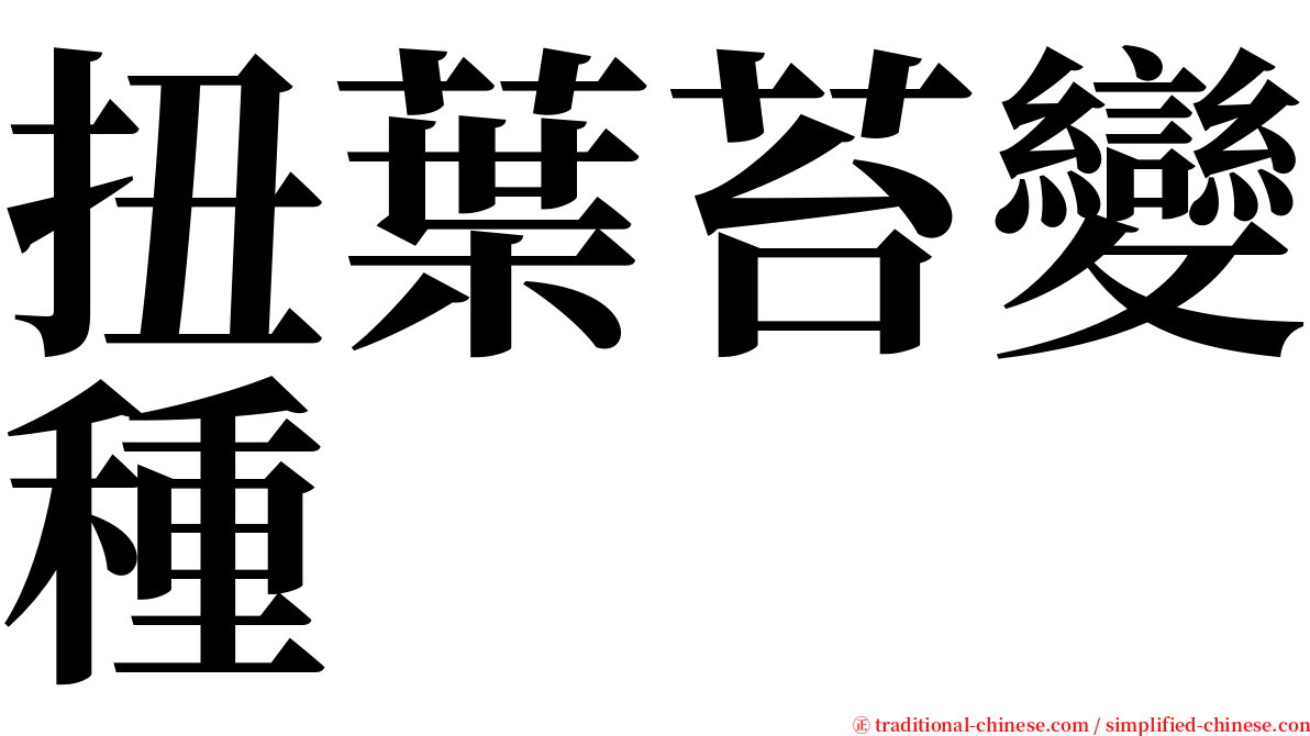 扭葉苔變種 serif font