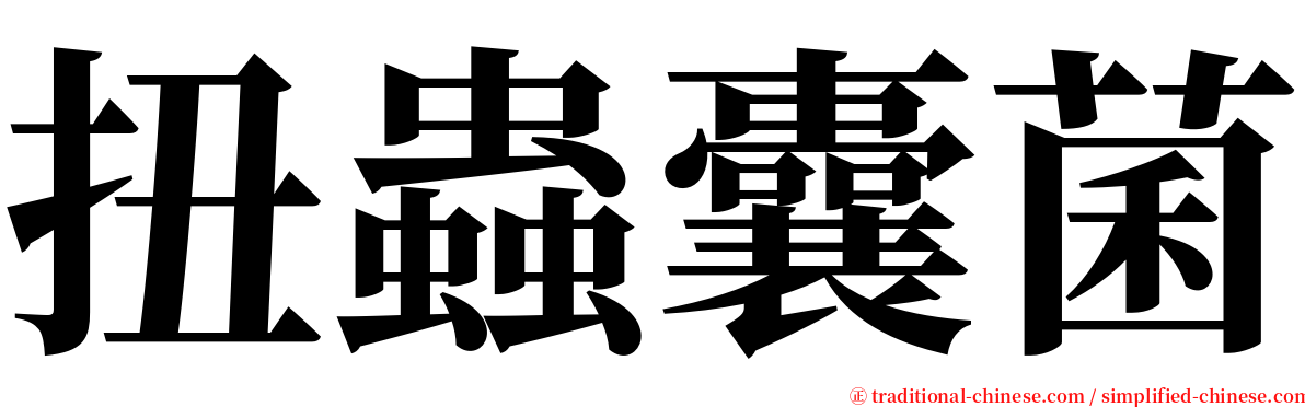 扭蟲囊菌 serif font