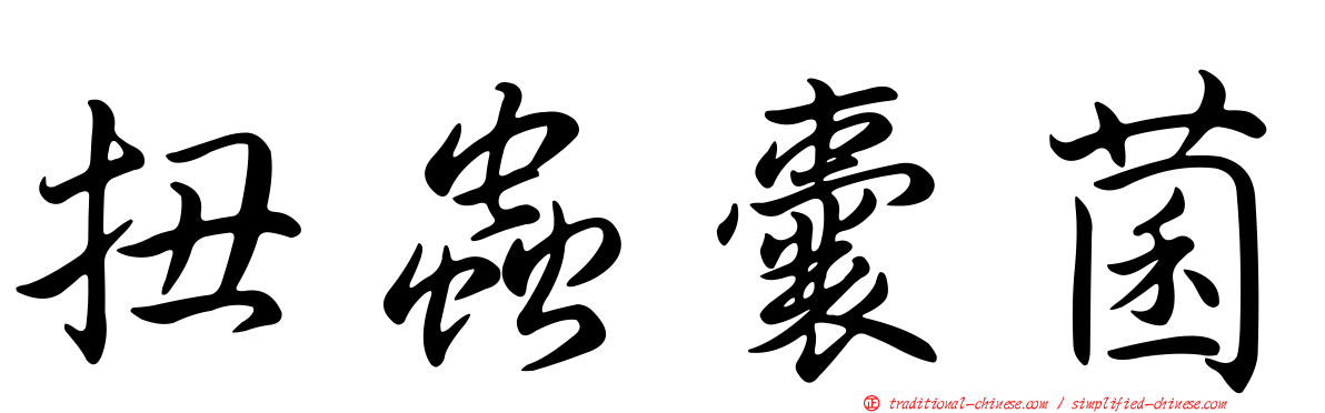 扭蟲囊菌