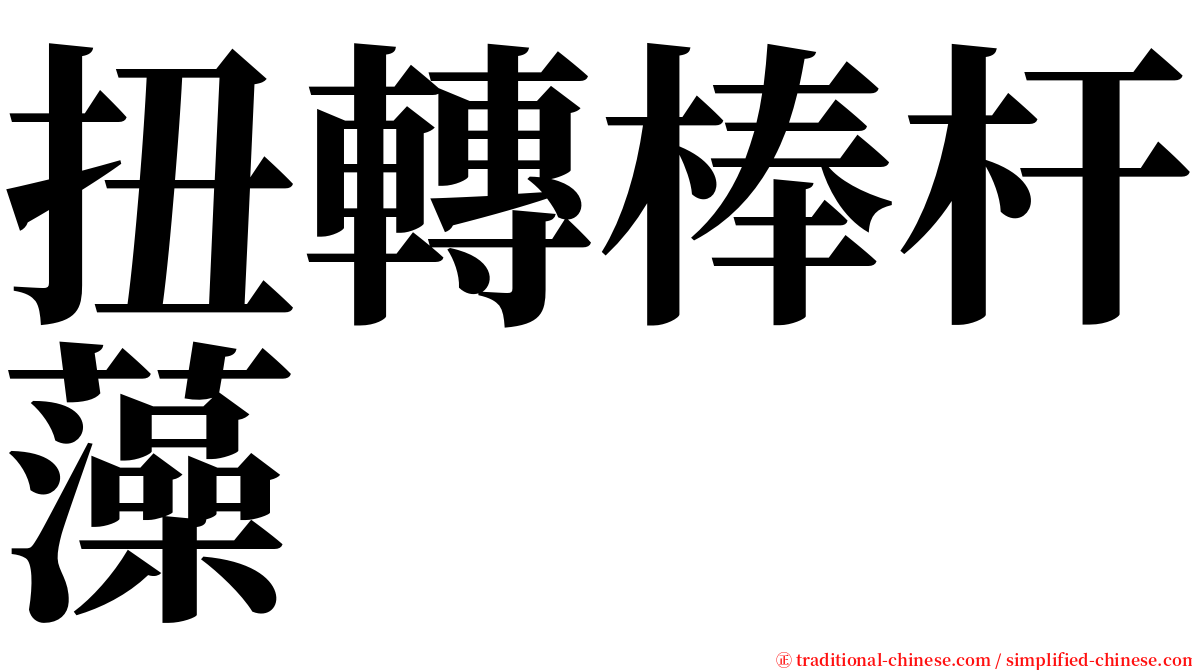 扭轉棒杆藻 serif font