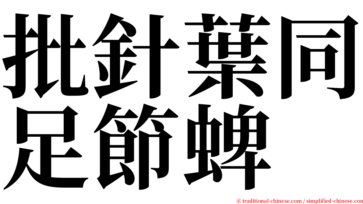 批針葉同足節蜱 serif font