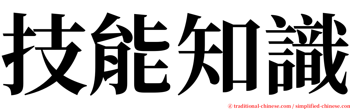 技能知識 serif font