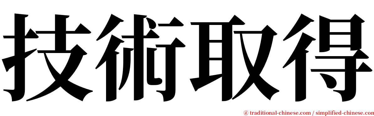 技術取得 serif font