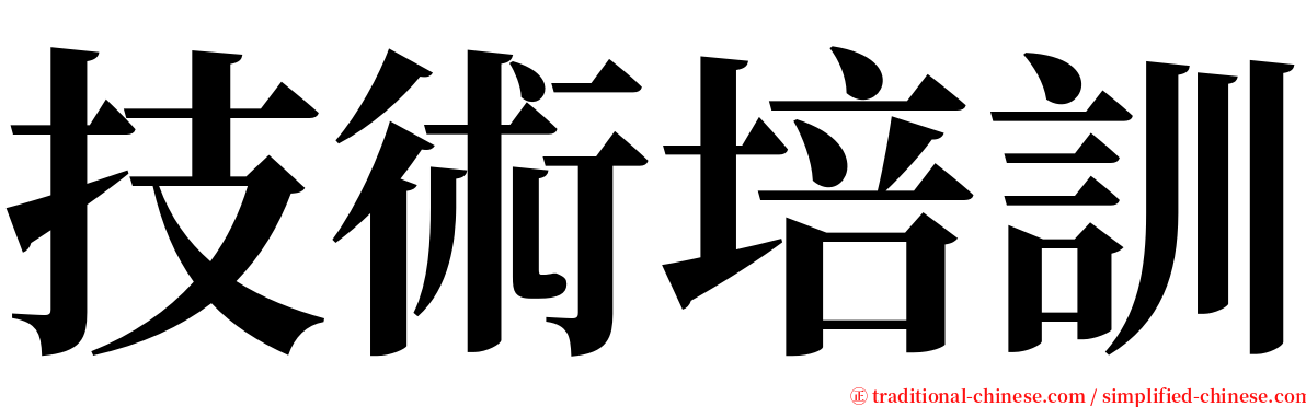 技術培訓 serif font