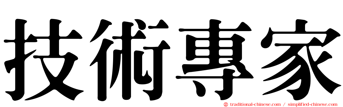 技術專家