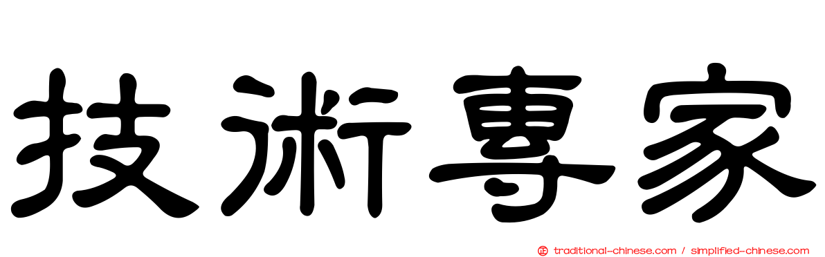 技術專家