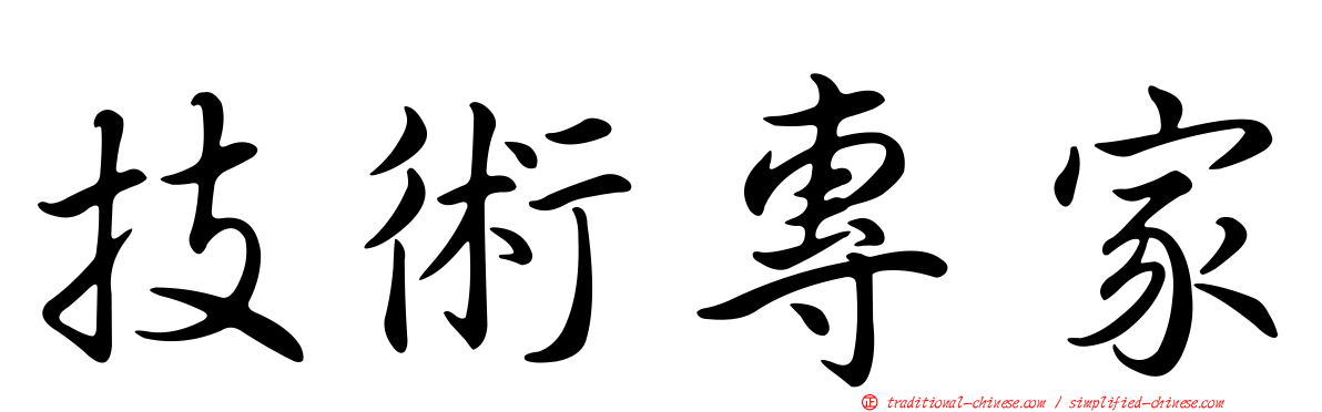 技術專家