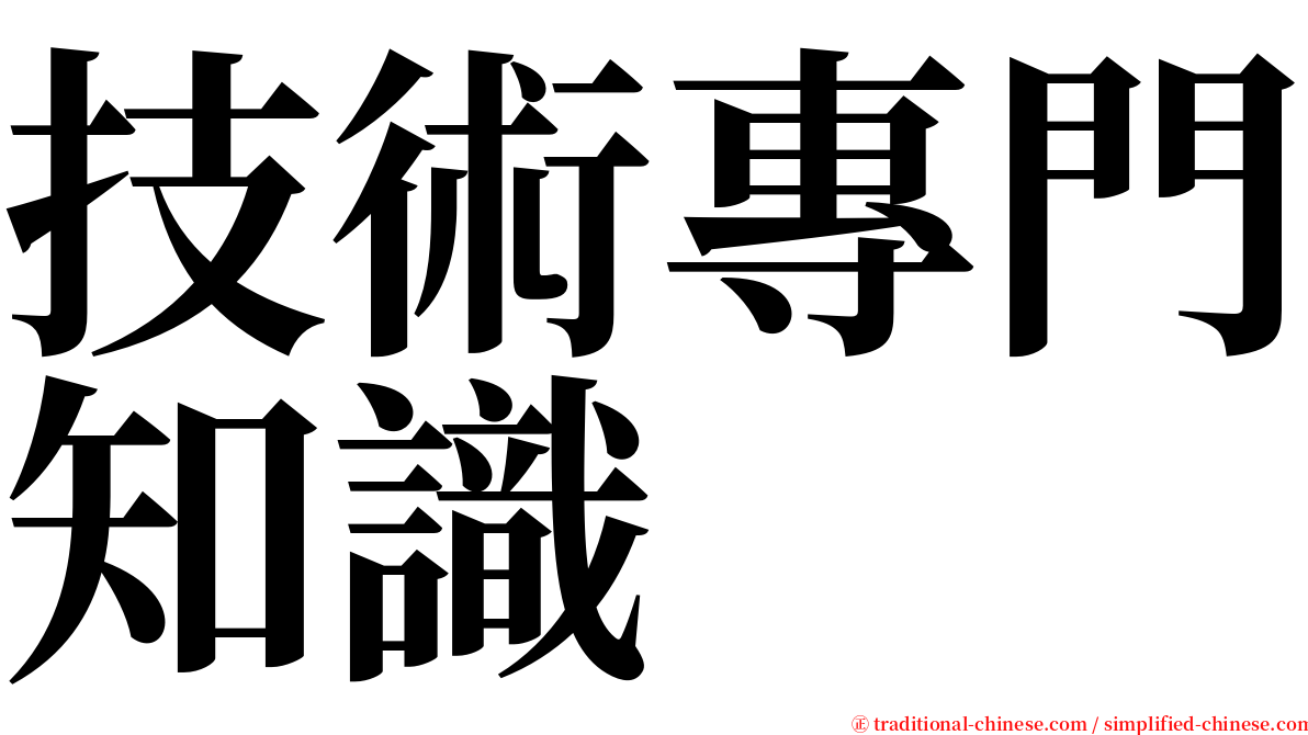 技術專門知識 serif font