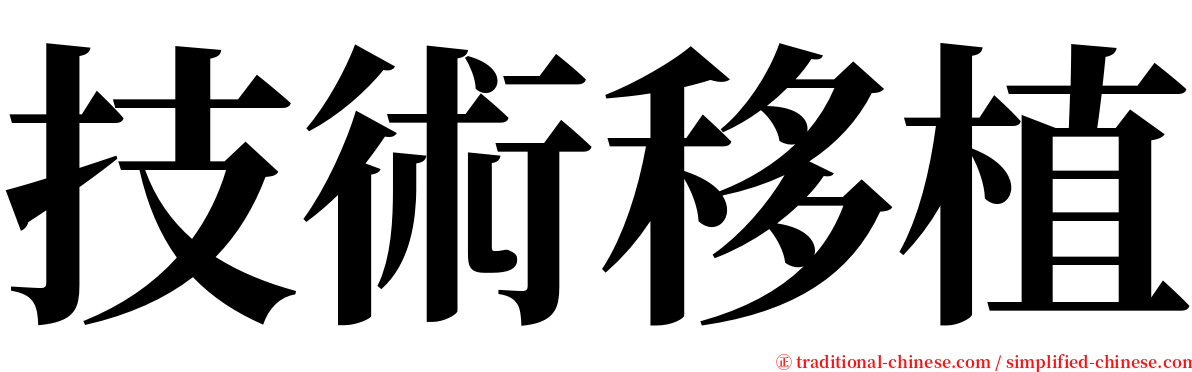 技術移植 serif font