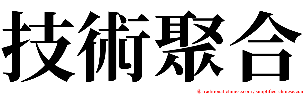 技術聚合 serif font