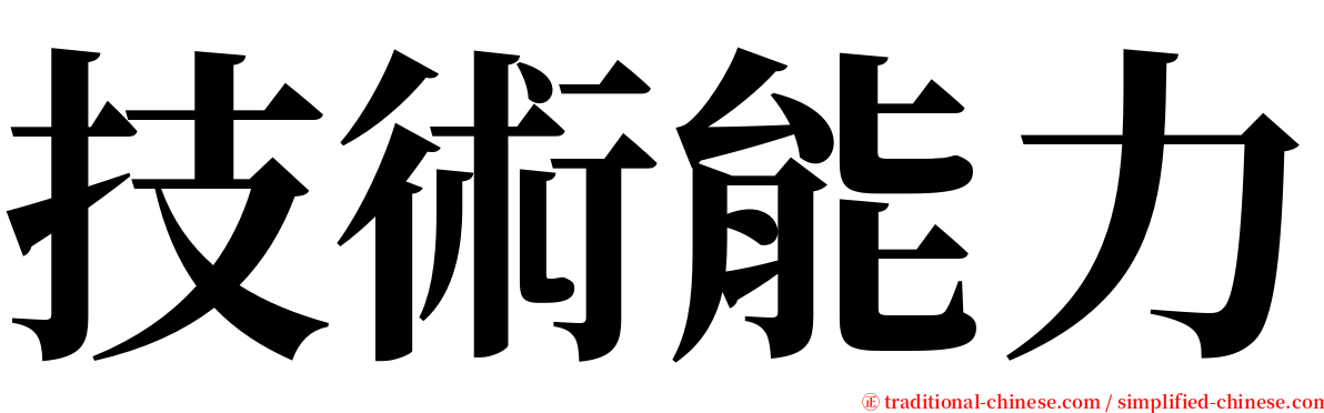 技術能力 serif font