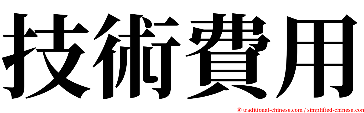 技術費用 serif font