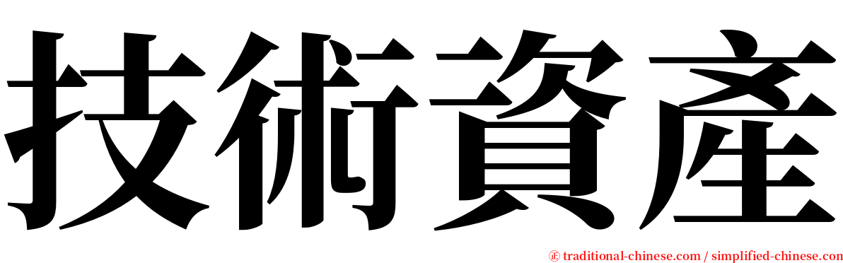 技術資產 serif font