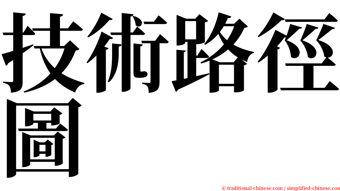 技術路徑圖 serif font