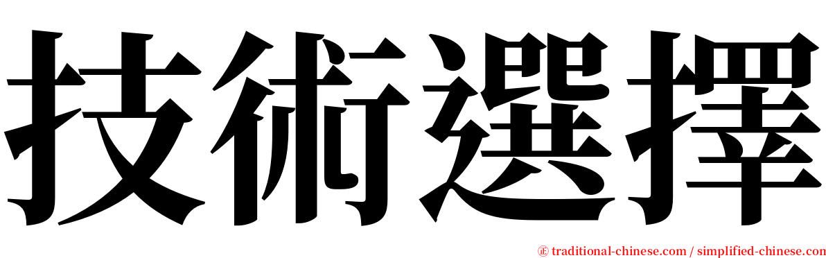 技術選擇 serif font