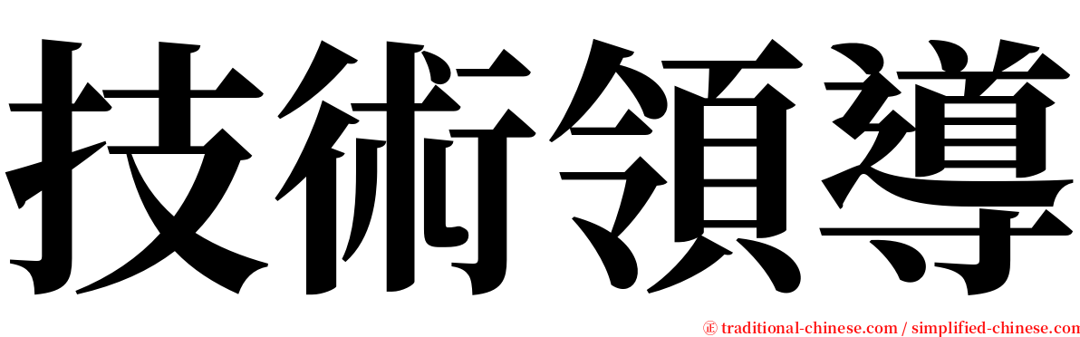 技術領導 serif font