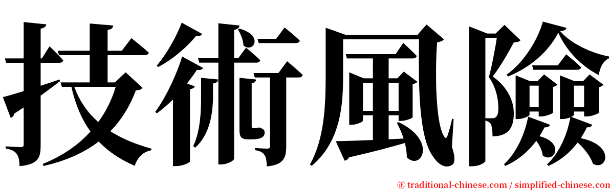 技術風險 serif font