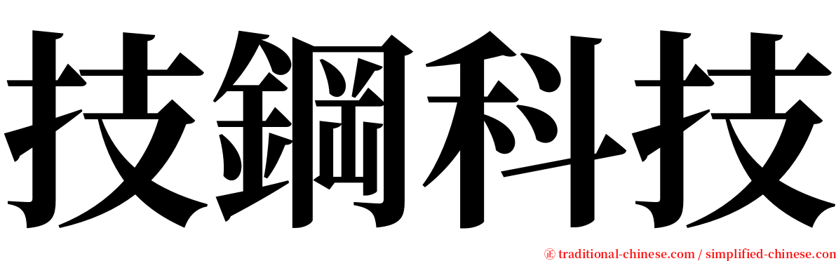 技鋼科技 serif font