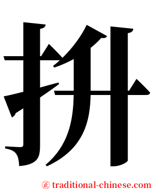 抍 serif font