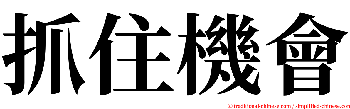 抓住機會 serif font