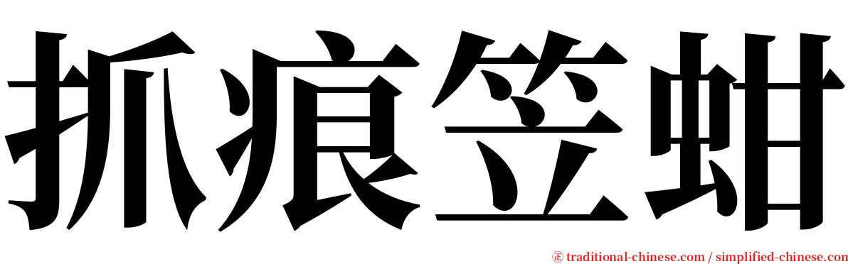 抓痕笠蚶 serif font