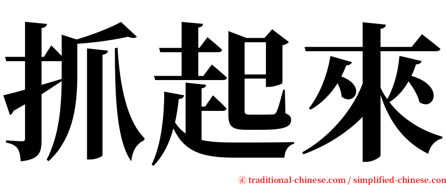 抓起來 serif font