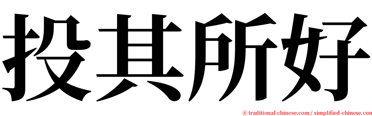 投其所好 serif font