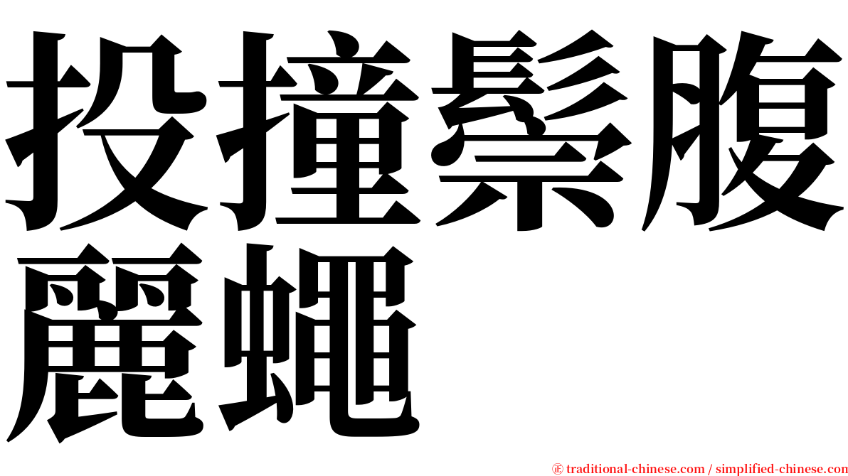 投撞鬃腹麗蠅 serif font