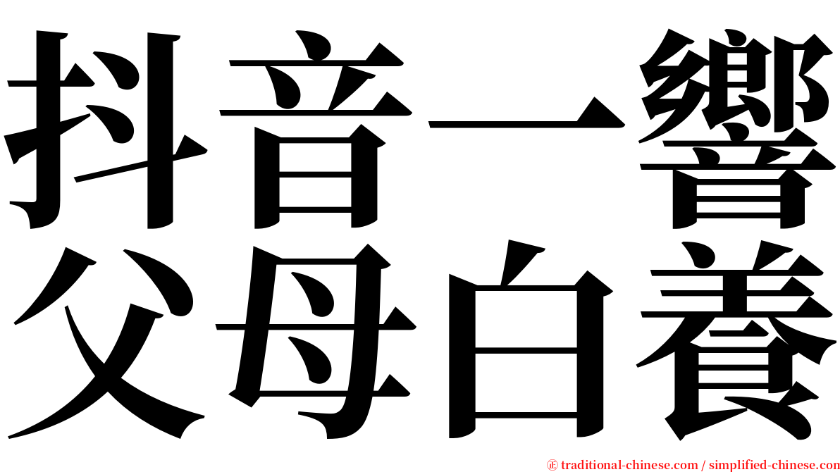 抖音一響父母白養 serif font