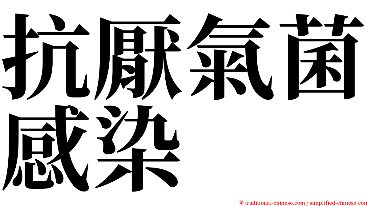 抗厭氣菌感染 serif font