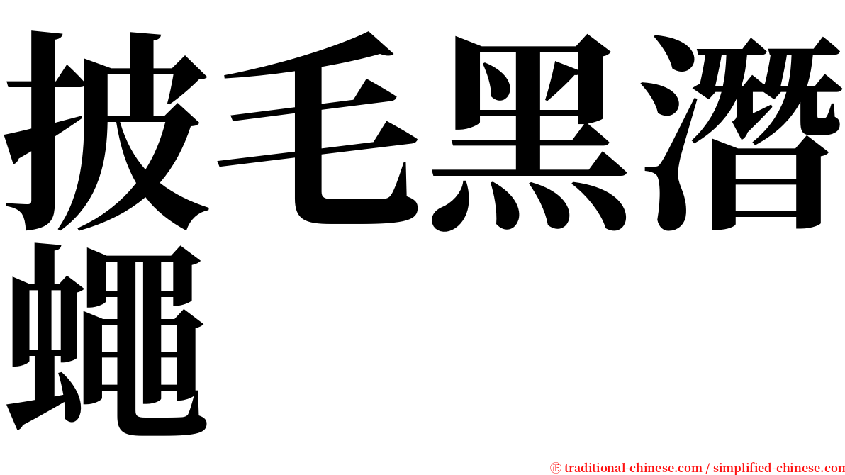 披毛黑潛蠅 serif font