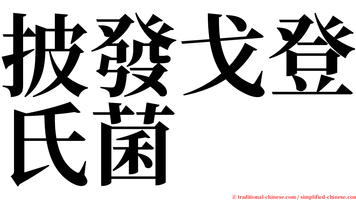 披發戈登氏菌 serif font