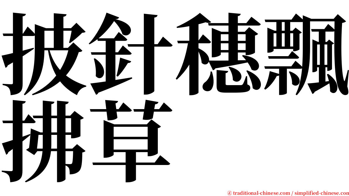 披針穗飄拂草 serif font