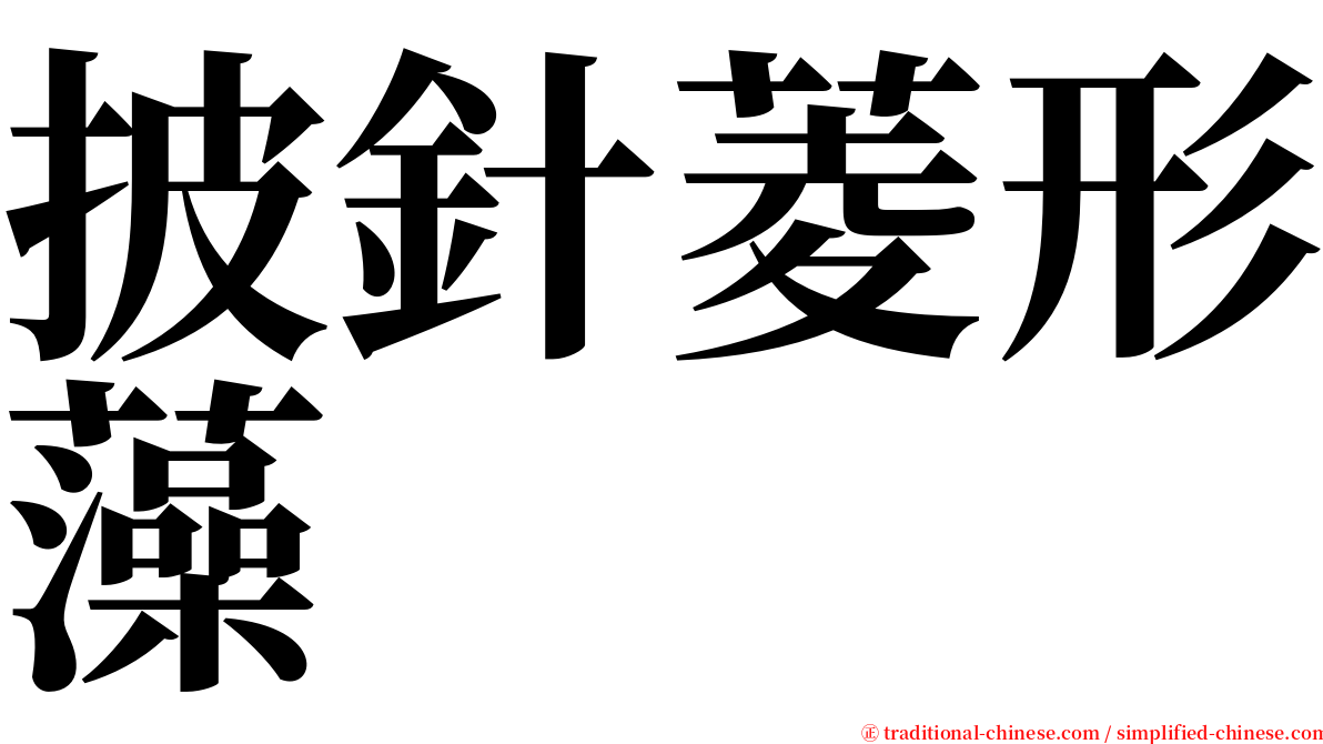 披針菱形藻 serif font