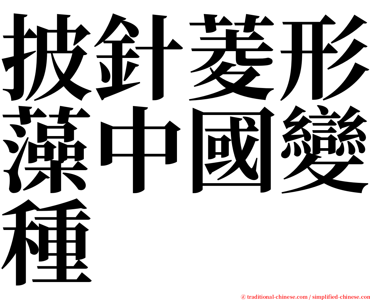 披針菱形藻中國變種 serif font